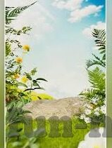宁夏足球比分网-宁夏足球比分网，绿茵场上的数字脉搏与本土足球生态观察